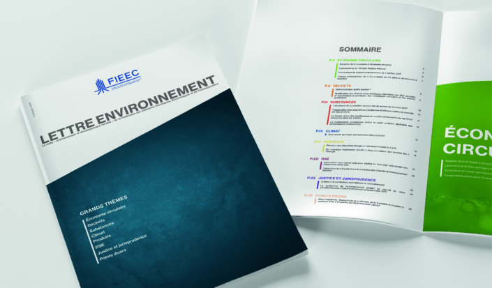publication RS-lettre environnement